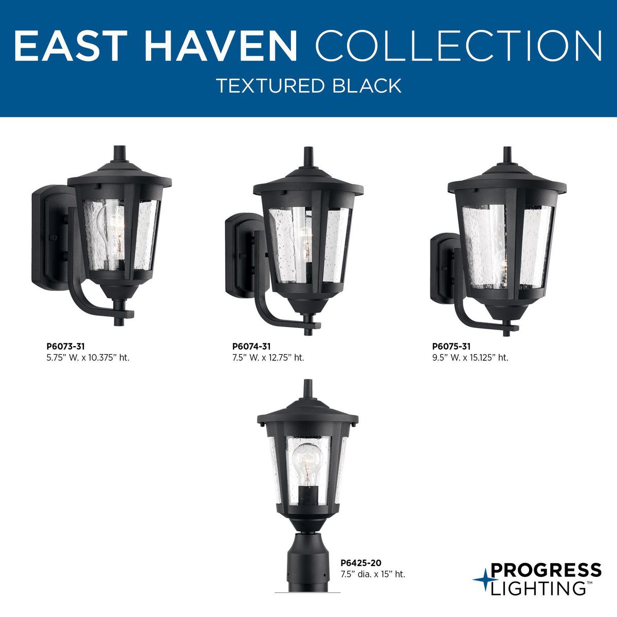 East Haven Collection One-Light Small Wall Lantern | P6073-31